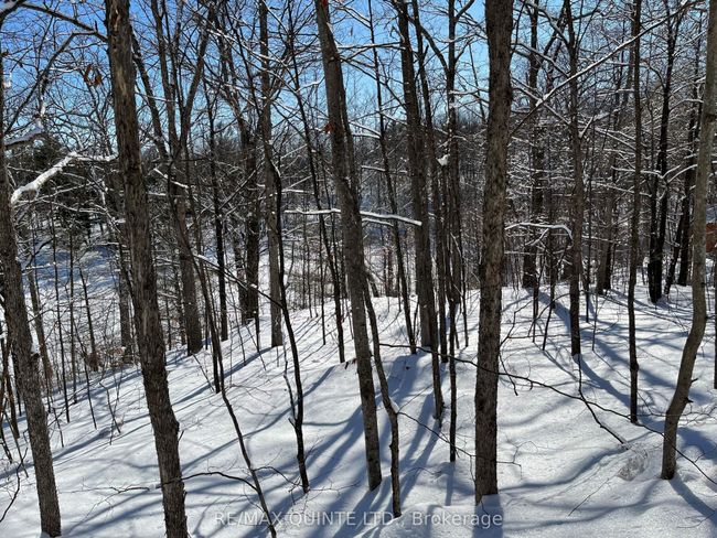 102 Atwood Lane, Home with 0 bedrooms, 0 bathrooms and null parking in South Frontenac ON | Image 13