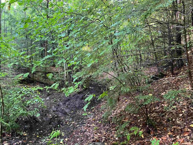 Map 6, Lot 38 Chadwick Hill Road, Home with 0 bedrooms, 0 bathrooms and null parking in Webster NH | Image 13