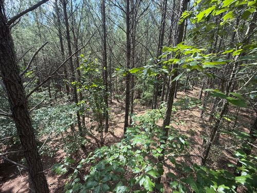hhf-5-Hhf 5 Old Georgetown Road W, Westville, SC, 29175 | Card Image