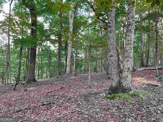 0 Peach Orchard Dr, Home with 0 bedrooms, 0 bathrooms and null parking in Alto GA | Image 32