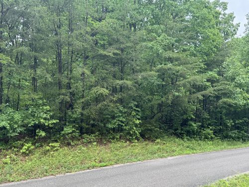 18 Avenue, Gruetli Laager, TN, 37339 | Card Image