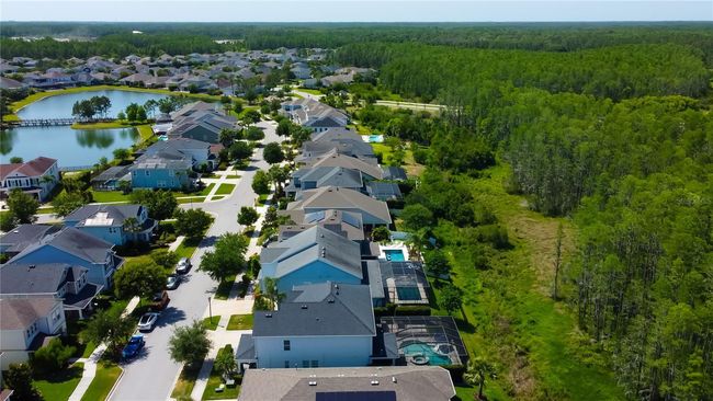 14975 Renaissance Ave, House other with 4 bedrooms, 3 bathrooms and null parking in ODESSA FL | Image 67