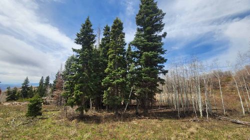 j50-79 Thads Peak Dr, Fairview, UT, 84629 | Card Image