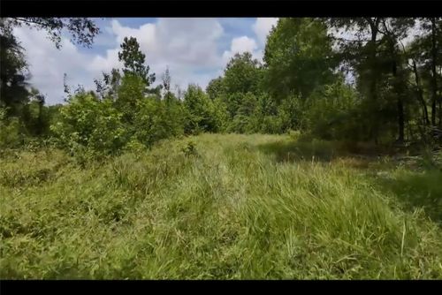 Lot 1 County Road 2215, Detroit, TX, 75436 | Card Image