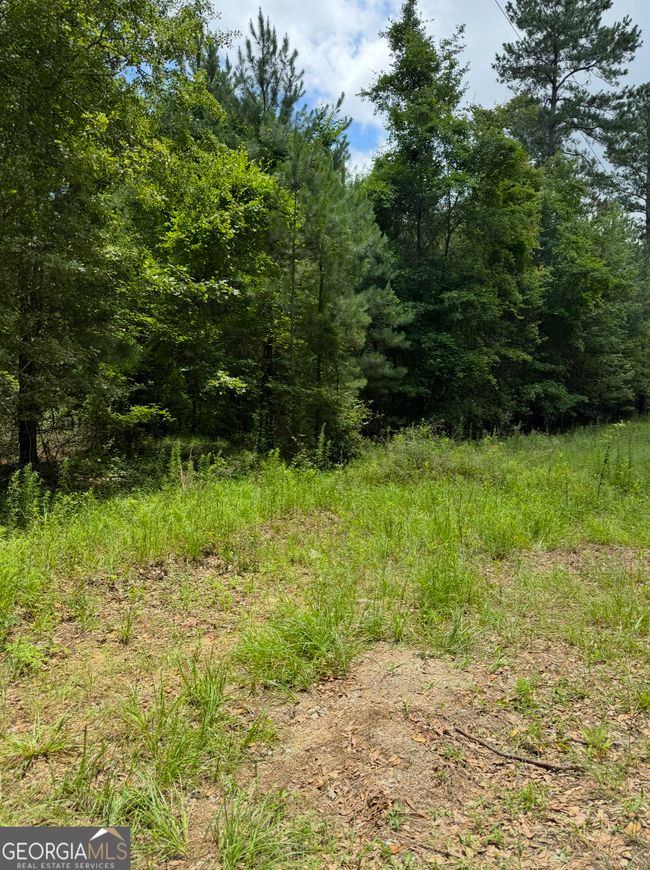 0 Tobias Rd, Home with 0 bedrooms, 0 bathrooms and null parking in Sardis GA | Image 20
