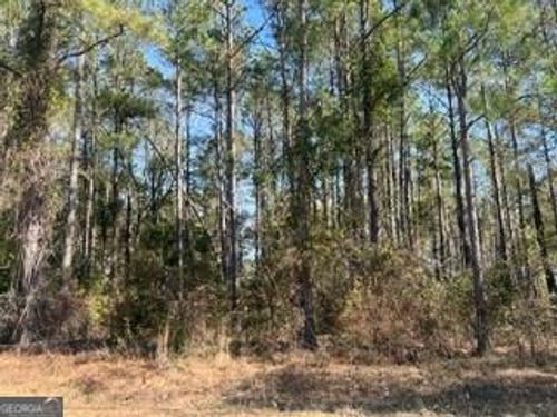 lot-1-241 Valhalla Rd, Cordele, GA, 31015-9368 | Card Image