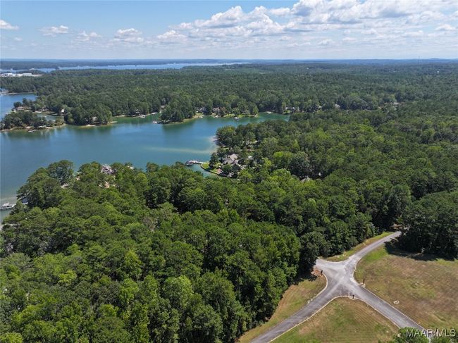 1130 Trillium West Pkwy, House other with 8 bedrooms, 8 bathrooms and null parking in Eclectic AL | Image 66