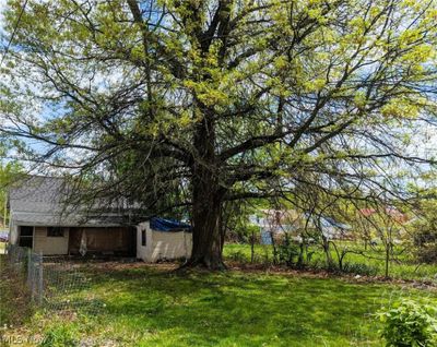 View of backyard with small shed | Image 3