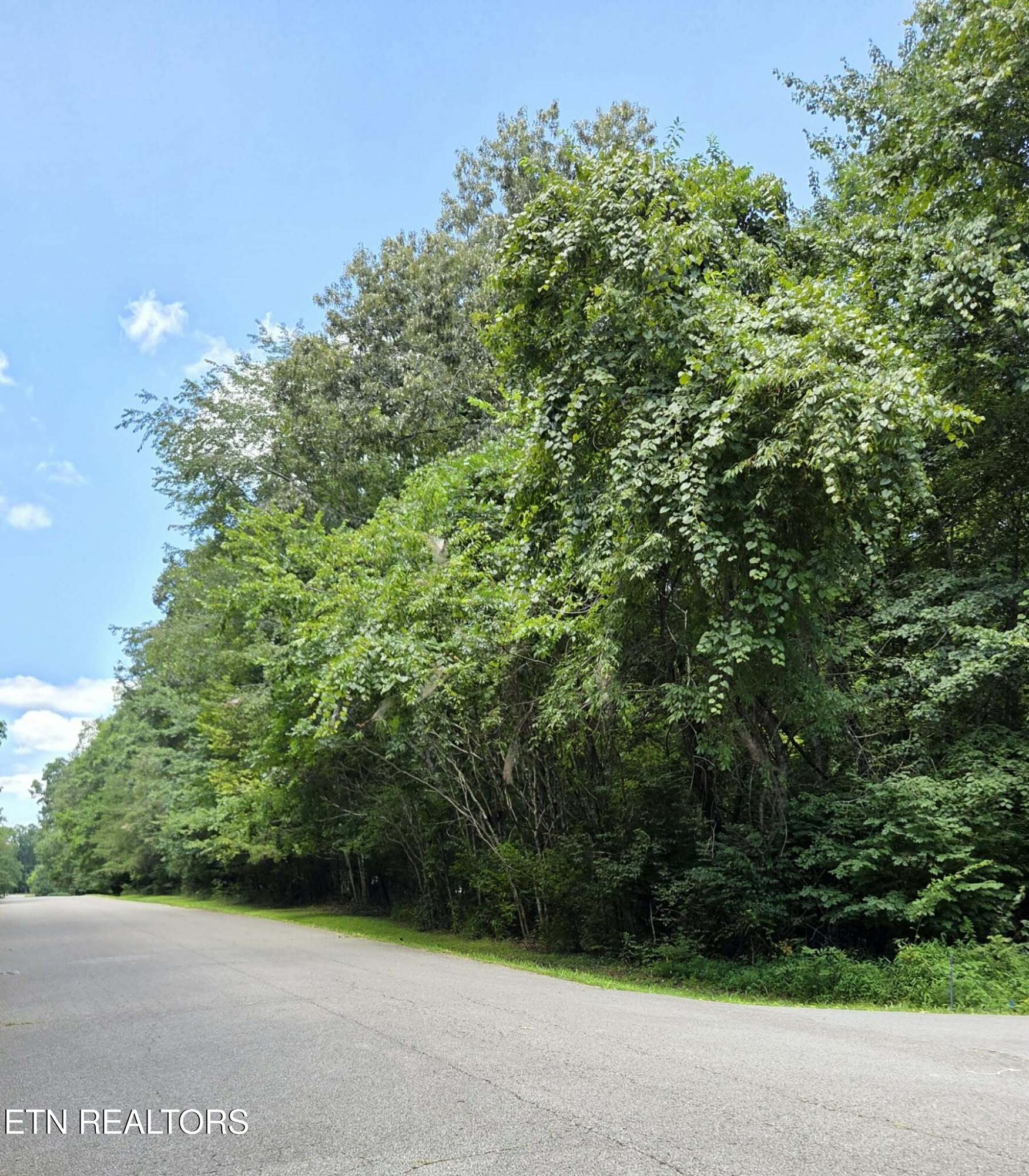 Land in Crossville