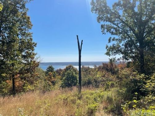 Lot 1 Diamond Bluff Rd, Quitman, AR, 72131-9863 | Card Image