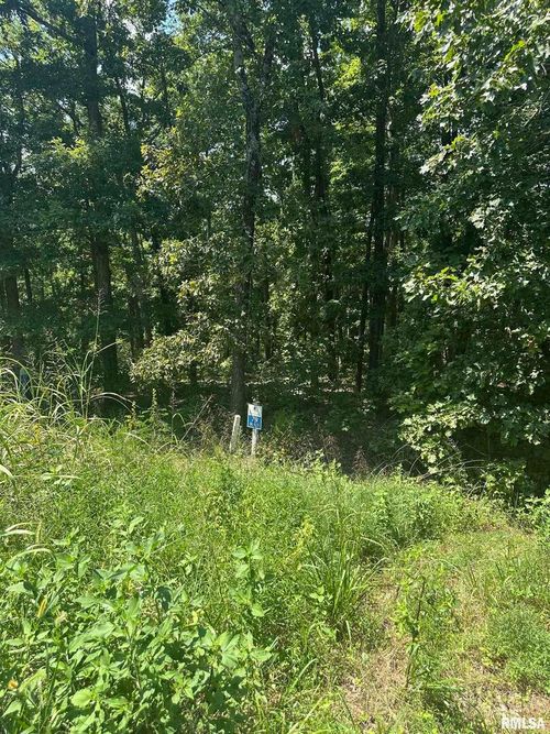 00 Hawthorne Point, Goreville, IL, 62939 | Card Image