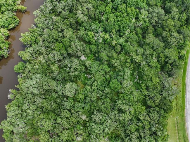 Top View | Image 8