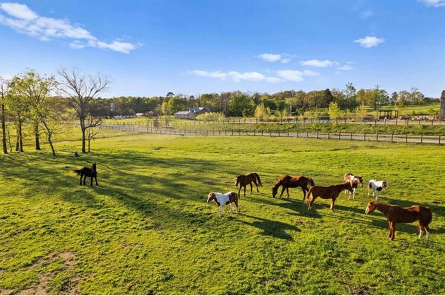 View of yard with fence and a rural view | Image 18