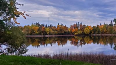 Fall over the Baudette Bay | Image 2