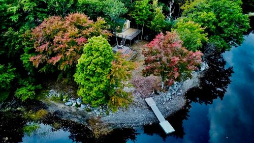 {{alt}} | Card Image