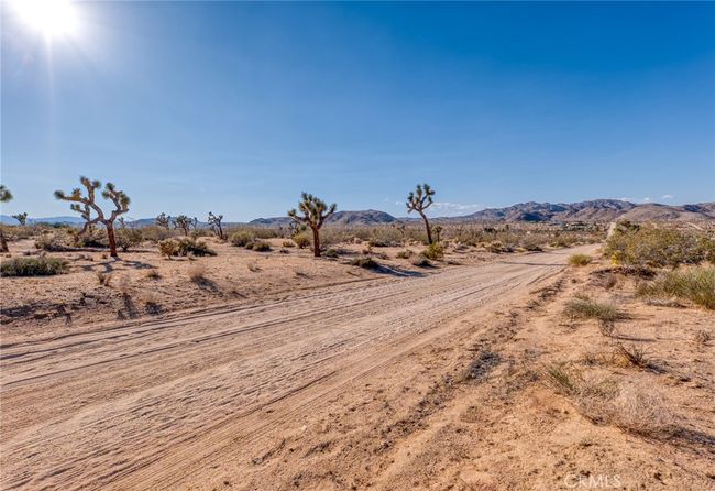 107 Juniper Rd, Home with 0 bedrooms, 0 bathrooms and null parking in Joshua Tree CA | Image 6