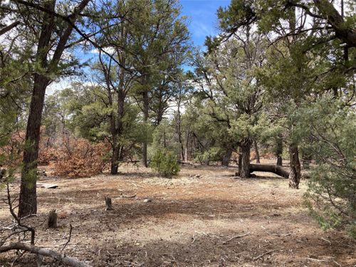 TBD Talavera Unit 4 Lot 14, Tierra Amarilla, NM, 87575 | Card Image