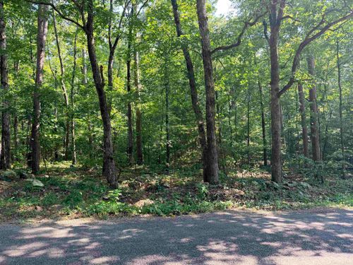 Lot 16 &amp; 17 Ellen Lane, Higden, AR, 72067 | Card Image