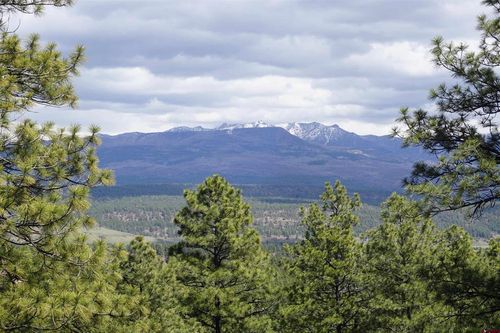 1131 Lodge Pole Dr, Pagosa Springs, CO, 81147-8596 | Card Image