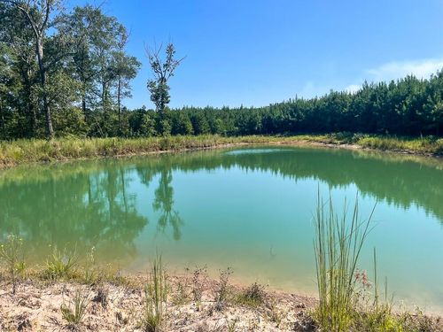 TBD Union Springs Rd, Corrigan, TX, 75939 | Card Image