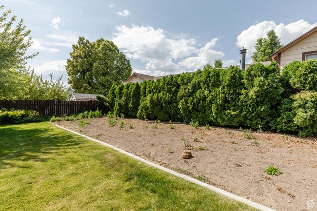 View of yard | Image 37