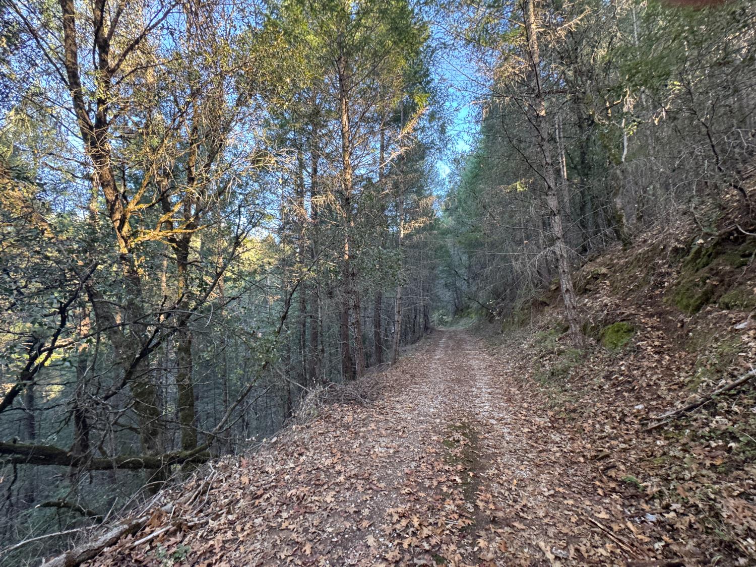 Land in Grass Valley 2