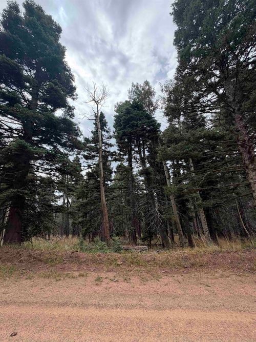 lot 1315 Pleasant Valley Overlook, Angel Fire, NM, 87710 | Card Image