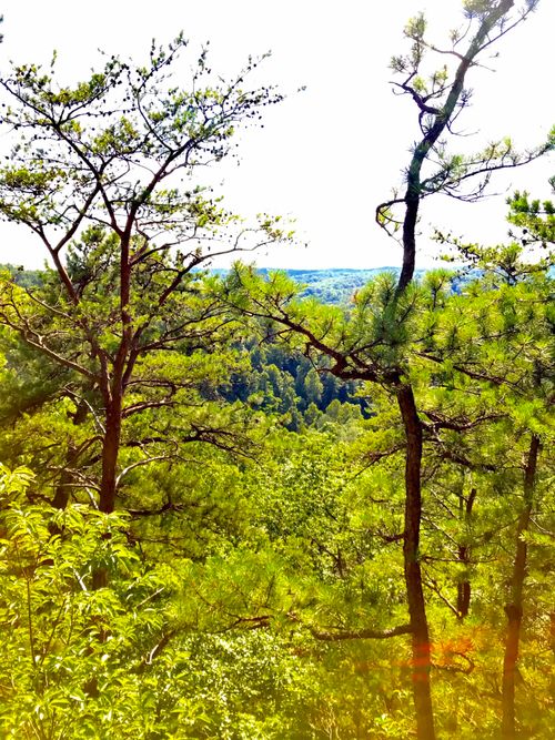 0 S Fork Rd, Stanton, KY, 40380 | Card Image