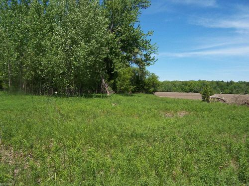 Lot 2 Lapeer Rd Road, Kimball Township, MI, 48074 | Card Image