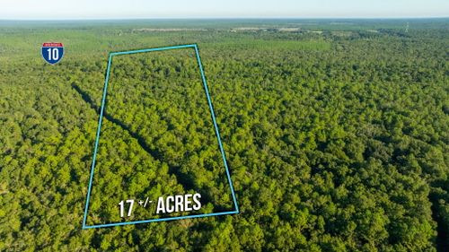 17 Acres Lyons Place, Holt, FL, 32564 | Card Image