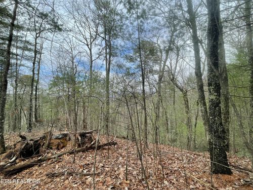 0 Walnut Flats Rd, Walland, TN, 37886 | Card Image