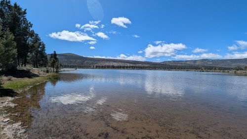 18801 Leavers Ln, Macdoel, CA, 96058-9781 | Card Image