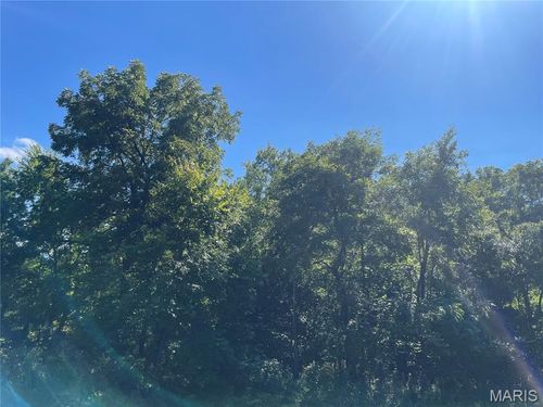 0 Wayne Cr 344, Piedmont, MO, 63957 | Card Image