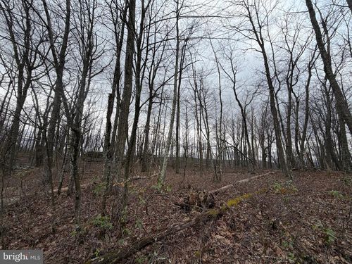 Lot 287.2 Spring Mountain Dr, Zion Grove, PA, 17985 | Card Image