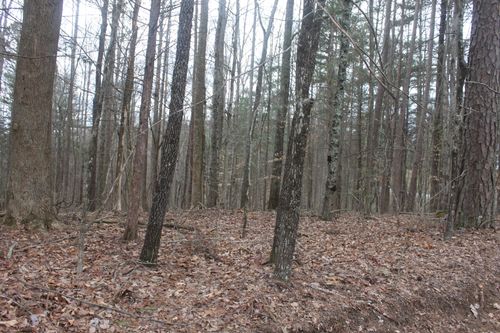 00 Mcgregor Ln, McMinnville, TN, 37110 | Card Image