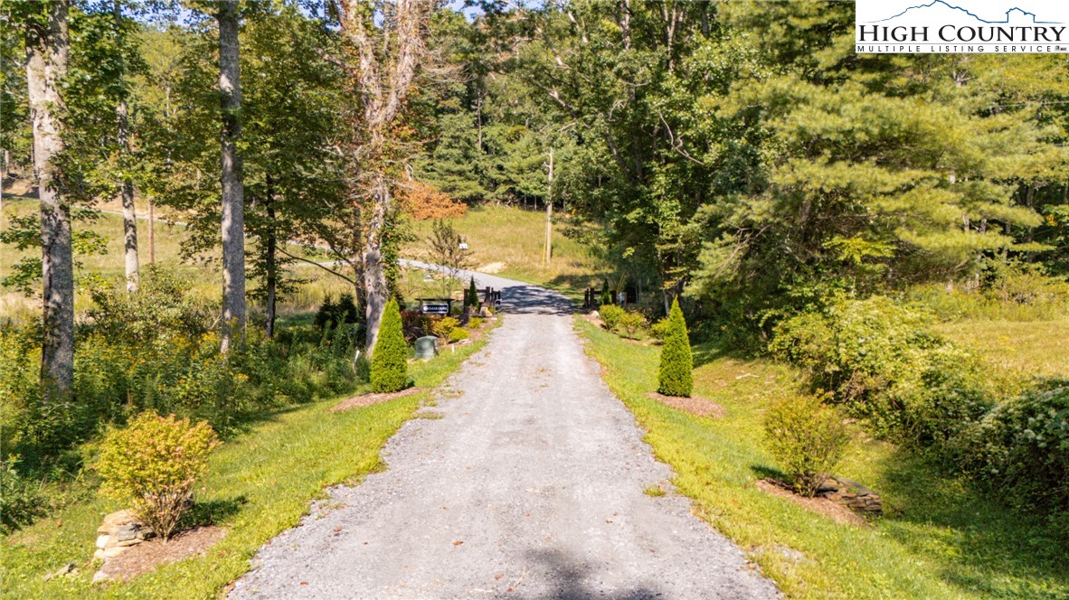 Land in Spruce Pine 5
