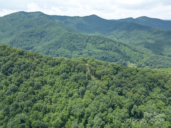 000 White Rock Branch Rd, Home with 0 bedrooms, 0 bathrooms and null parking in Candler NC | Image 22
