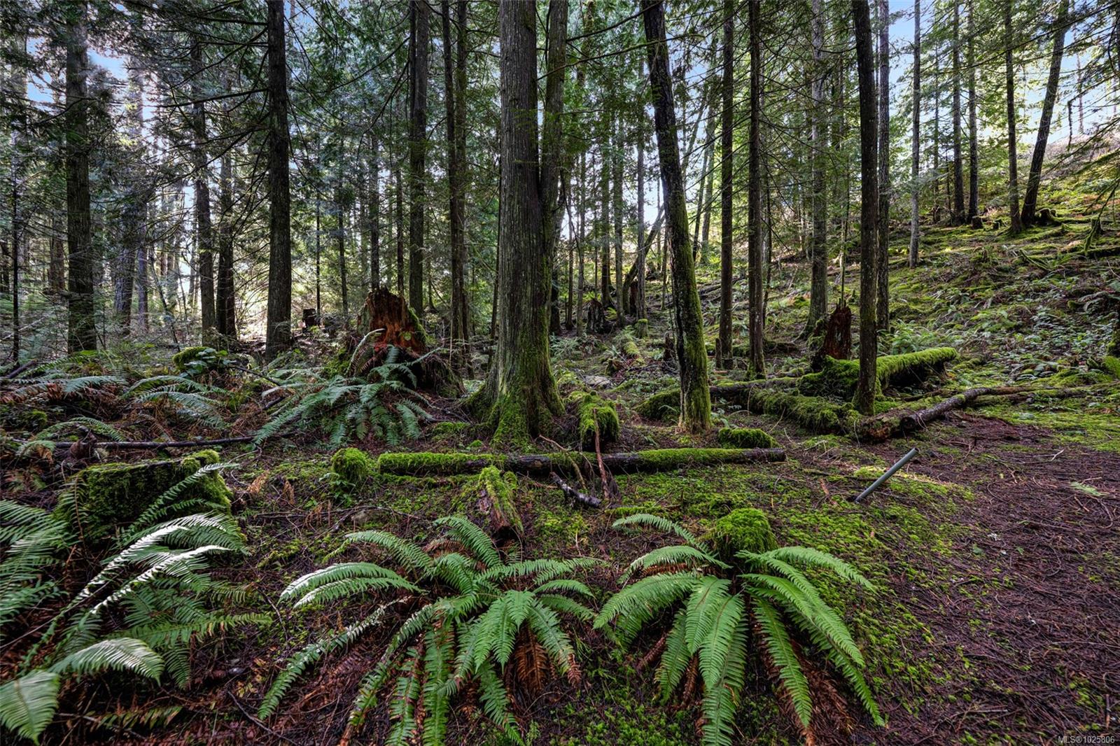 Residential in Malahat 5