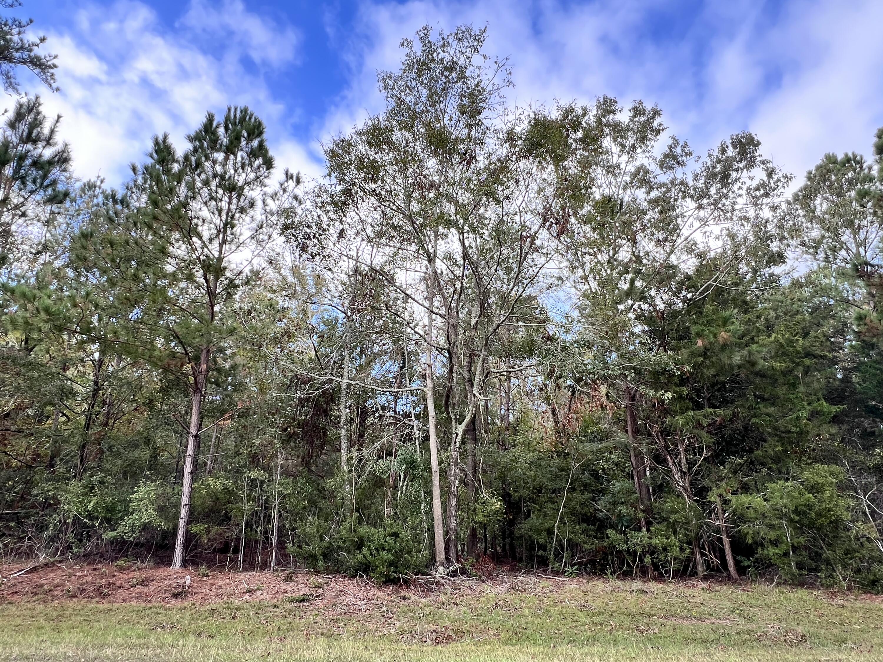 Land in Appling 3
