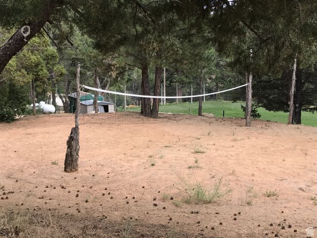 View of community featuring volleyball court | Image 18