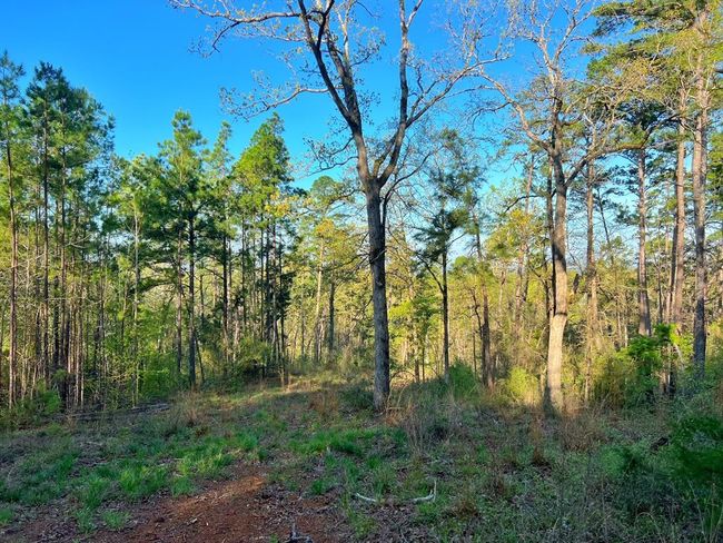 99 Cr 2107, Home with 0 bedrooms, 0 bathrooms and null parking in Rusk TX | Image 33