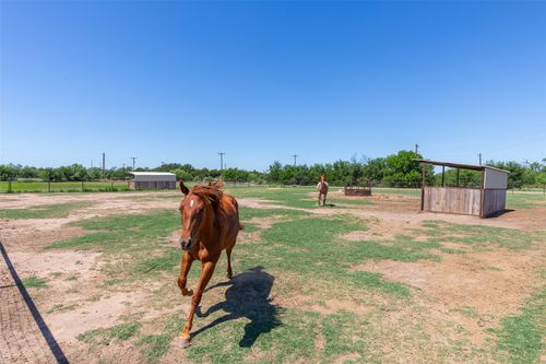 427 Meadow Ln, Abilene, TX, 79602-6539 | Card Image
