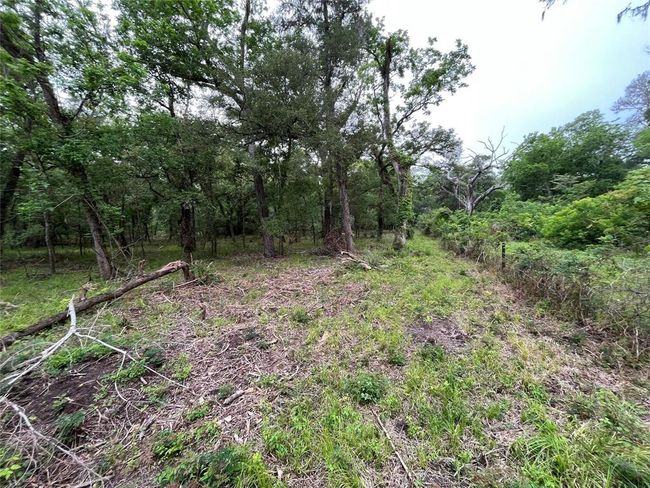 2872 Brazoria County Rd, Home with 0 bedrooms, 0 bathrooms and null parking in Angleton TX | Image 5