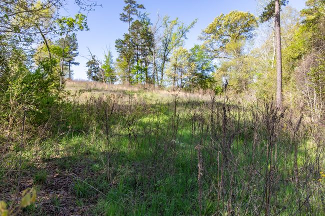 16808 Ridgeline Loop, Home with 0 bedrooms, 0 bathrooms and null parking in Winona TX | Image 8