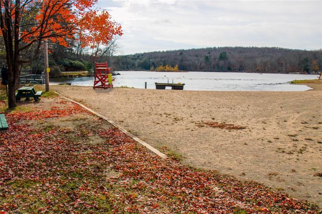 View of yard featuring a wooded view and a water view | Image 17