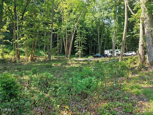 00 Irondale Rd, Big Stone Gap, VA, 24219 | Card Image