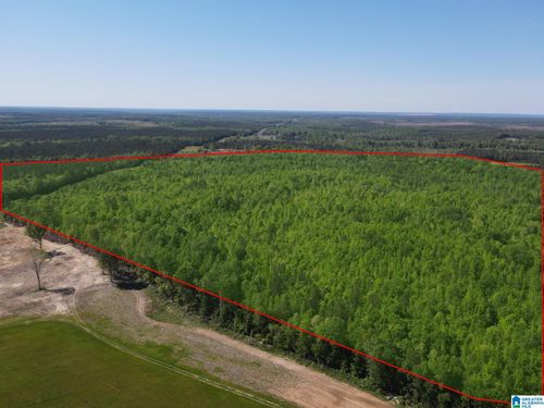 2000-3000-160 Acres County Road 73, Randolph, AL, 36792 | Card Image