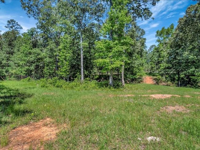 3103 Cheeseland Rd, Home with 0 bedrooms, 0 bathrooms and null parking in Pollok TX | Image 23
