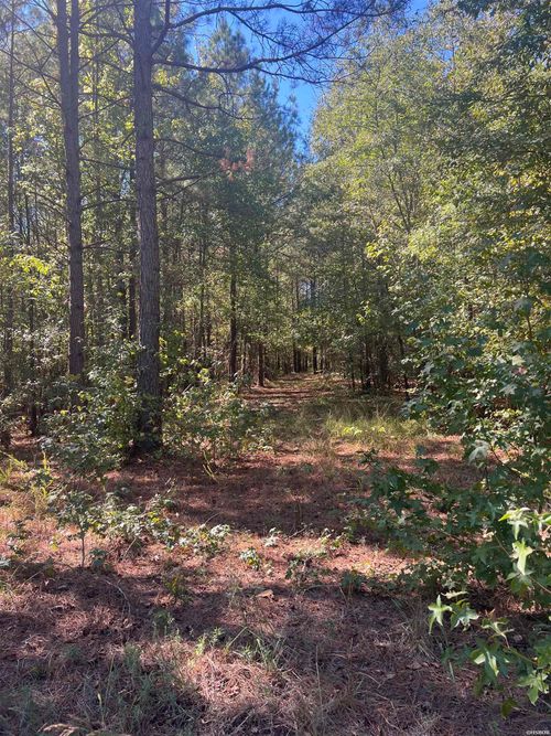 xx tract 11 Castle, Amity, AR, 71921 | Card Image