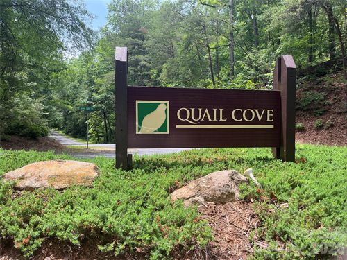 1608-155 Quail Cove Blvd, Lake Lure, NC, 28746-9500 | Card Image